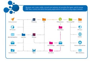 Switch Workflow